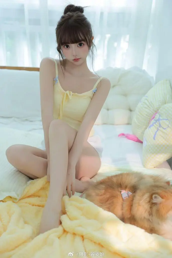 创作者使用下载小飞侠的数据对比图表